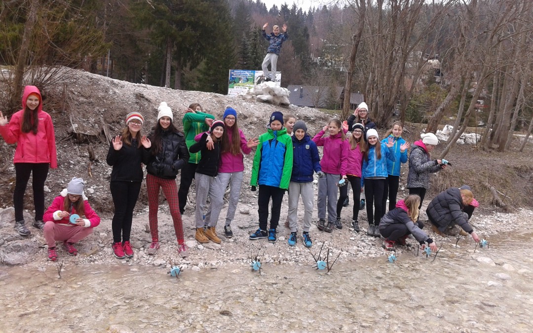 Iz Kranjske Gore